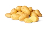 Penny Römnitz - Speisekartoffeln Angebot im Prospekt Speisekartoffeln bei Penny im Römnitz Prospekt für 2,99 €