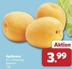 combi Wagenfeld - Aprikosen Angebot im Prospekt Aprikosen bei combi im Wagenfeld Prospekt für 3,99 €