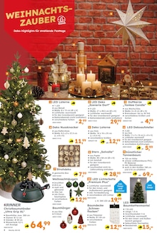 Tannenbaum im Globus-Baumarkt Prospekt "Immer eine Idee besser" mit 20 Seiten (Duisburg)