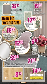 Bilder im Hornbach Prospekt in Voerde Aktueller Hornbach Prospekt mit Bilder, "Dir ist vieles Latte. Nur nicht Dein Garten.", Seite 23