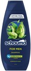 For Men im REWE Prospekt For Men von Schauma im aktuellen REWE Prospekt für 1,69 €