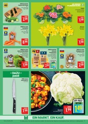 Aktueller Marktkauf Prospekt mit Kuchen, "AUSWAHL RIESIG, PREISE NIEDRIG", Seite 11