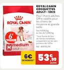 Croquettes adult – 12kg - Royal Canin en promo chez Animalis Croquettes adult – 12kg - Royal Canin dans le catalogue Animalis