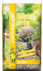 Pflanzerde Angebote von GRÜNER JAN bei Thomas Philipps Hoyerswerda für 10,00 €