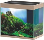 Ensemble Aquarium + Meuble Émotions Pro 60 Mystic en promo chez Botanic Ensemble Aquarium + Meuble Émotions Pro 60 Mystic dans le catalogue Botanic