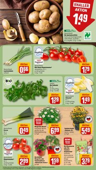 Blumenerde im REWE Prospekt "Dein Markt" mit 30 Seiten (Augsburg)
