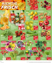 Aktueller Kaufland Prospekt mit Tulpen, "Aktuelle Angebote", Seite 12