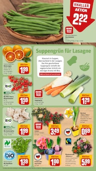 Gemüse im REWE Prospekt "Dein Markt" mit 32 Seiten (Ingolstadt)