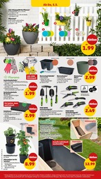 Schuhe Angebot im aktuellen Penny Prospekt auf Seite 32