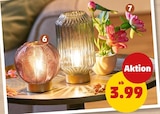 LED-Deko-Lampe für 3,99 € bei Penny im Angebot LED-Deko-Lampe im aktuellen Penny Prospekt