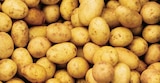 Norma Uckange - Promo Pommes de terre de consommation Promo Pommes de terre de consommation à 5,99 € dans le catalogue Norma à Uckange