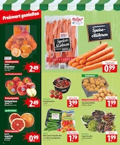 Paprika im famila Nordost Prospekt in Falkensee Aktueller famila Nordost Prospekt mit Paprika, "besser als gut!", Seite 4