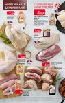 Poule Poule