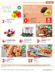 Promos Plantes dans le catalogue "LES TOPS" de Auchan Hypermarché Plantes en promo dans le catalogue Auchan Hypermarché à la page 21