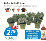Italienische Kräuter von  im aktuellen V-Markt Prospekt für 2,79 €