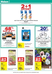 Pile Angebote im Prospekt "LE MOIS VIP VERY IMPORTANT PROMOS*" von Carrefour auf Seite 66