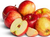 Aktuelles Deutsche rote Äpfel Angebot bei Penny in Freiburg (Breisgau) ab 1,29 €
