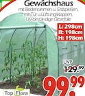 Gewächshaus im Angebot bei Wreesmann in Cottbus Gewächshaus Angebote von Top Flora bei Wreesmann Cottbus für 99,99 €