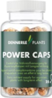 Aquariumpflanzendünger Power Caps Angebote von Dennerle bei Hornbach Duisburg für 13,99 €