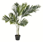 Geschenkartikel im Lidl Prospekt Kunstpflanze von LIVARNO home im aktuellen Lidl Prospekt für 17,99 €