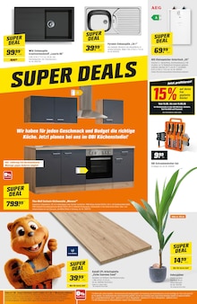 Pflanzen im OBI Prospekt "SUPER DEALS IM AUGUST!" mit 4 Seiten (Erfurt)