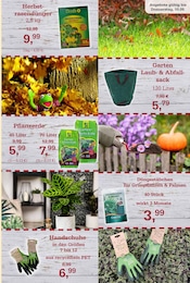Gartenerde im Garten-Center Nordharz GmbH & Co. KG Prospekt in Salzgitter Aktueller Garten-Center Nordharz GmbH & Co. KG Prospekt mit Gartenerde, "HERBSTZAUBER", Seite 9