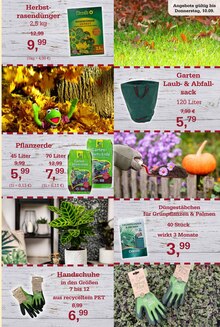 Pflanzenerde im aktuellen Garten-Center Nordharz GmbH & Co. KG Prospekt (Hannover) Pflanzenerde im Garten-Center Nordharz GmbH & Co. KG Prospekt "HERBSTZAUBER" mit 12 Seiten (Hannover)