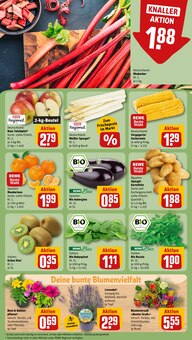 Bio Gemüse Angebot im aktuellen REWE Prospekt auf Seite 7