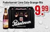 Limo Cola-Orange-Mix im Angebot bei E center in Wendlingen Limo Cola-Orange-Mix Angebote von Paderborner bei E center Wendlingen für 9,99 €