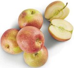 Aktuelles Tafeläpfel Elstar Angebot bei combi in Hannover ab 1,88 €