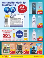 Aktueller Netto Marken-Discount Prospekt mit Nivea, "Aktuelle Angebote", Seite 36