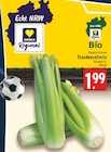E center Unna - Staudensellerie Angebot im Prospekt Staudensellerie bei E center im Unna Prospekt für 1,99 €