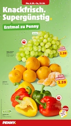 Mixer Angebot im aktuellen Penny Prospekt auf Seite 4