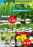 Garten Garten