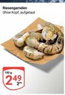 Aktuelle Garnelen Angebote bei GLOBUS in Erlangen Aktuelles Riesengarnelen Angebot bei GLOBUS in Erlangen ab 2,49 €
