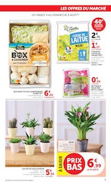 Prospectus U Express "Le marché À PRIX BAS SPÉCIAL PLANCHA" en cours à Nice, Page 9 Catalogue U Express en cours à Nice, "Le marché À PRIX BAS SPÉCIAL PLANCHA", Page 9