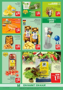 Zitronen im Marktkauf Prospekt "AUSWAHL RIESIG, PREISE NIEDRIG" mit 44 Seiten (Nürnberg)