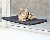 Fensterliege für Katzen im Kaufland Prospekt Fensterliege für Katzen von Dobar im aktuellen Kaufland Prospekt für 6,99 €