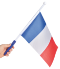 DRAPEAU FRANÇAIS LED en promo chez Gifi DRAPEAU FRANÇAIS LED dans le catalogue Gifi