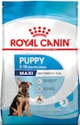 CROQUETTES - Royal Canin - Maxi Zoo à Toulon CROQUETTES - Royal Canin en promo chez Maxi Zoo Toulon à 55,49 €