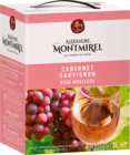 30% DE REMISE IMMÉDIATE SUR LA GAMME DES FONTAINES À VIN 3L  ALEXANDRE MONTMIREL - SANS MARQUE en promo chez Auchan Hypermarché Bordeaux