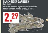 Aktuelle Garnelen Angebote bei Marktkauf in Gelsenkirchen Aktuelles Black-Tiger-Garnelen Angebot bei Marktkauf in Gelsenkirchen ab 2,29 €