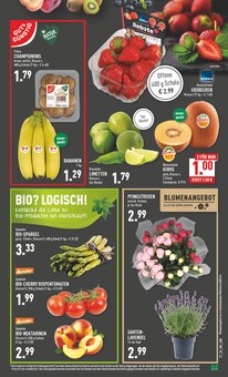 Gemüse im Marktkauf Prospekt "Aktuelle Angebote" mit 40 Seiten (Wuppertal)