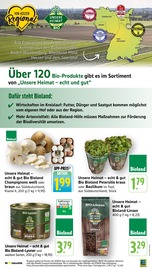 Eier im EDEKA Prospekt in Ettlingen Aktueller EDEKA Prospekt mit Eier, "Aktuelle Angebote", Seite 19