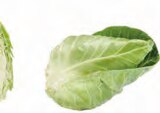 EDEKA Appen - Wirsingkohl Angebot im Prospekt Wirsingkohl bei EDEKA im Appen Prospekt für 2,99 €