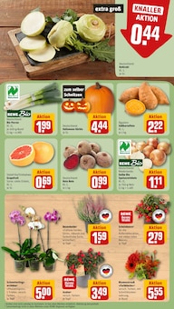 Kürbis im REWE Prospekt "Dein Markt" mit 18 Seiten (Frankfurt (Main))