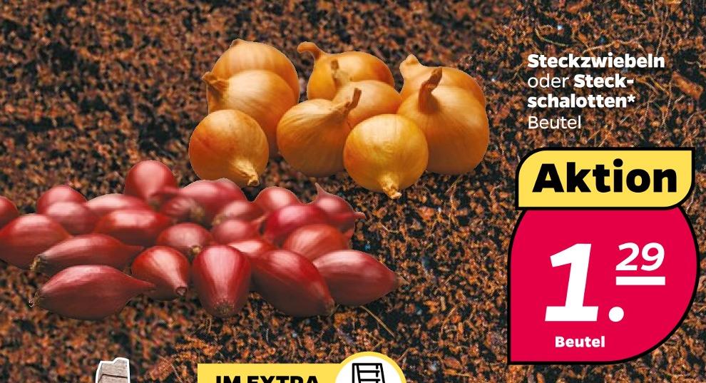 Steckzwiebeln oder Steck- schalotten