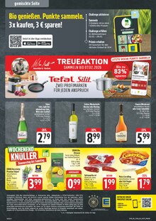 Pflanzen im aktuellen EDEKA Prospekt (Jena) Pflanzen im EDEKA Prospekt "Wir lieben Lebensmittel!" mit 8 Seiten (Jena)