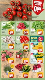 Pflanzen im REWE Prospekt in Ulm Aktueller REWE Prospekt mit Pflanzen, "Dein Markt", Seite 7