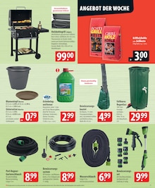 Holzkohlegrill im famila Nordost Prospekt "besser als gut!" mit 24 Seiten (Lübeck)